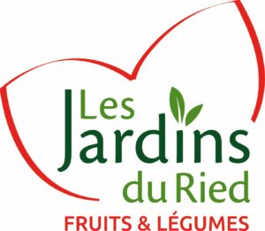 LOGO JDR